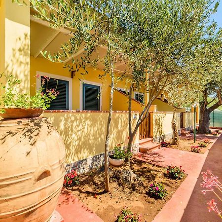 Villaggio Residence Pietra Grigia Марина ди Камерота Екстериор снимка